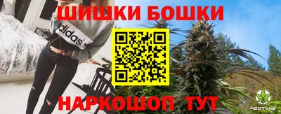 прущие грибы Кингисепп