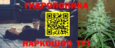 PSILOCYBIN Кимры