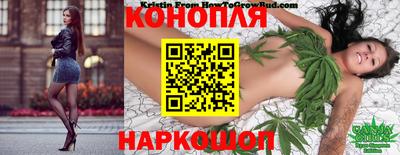не бодяженный Камышлов